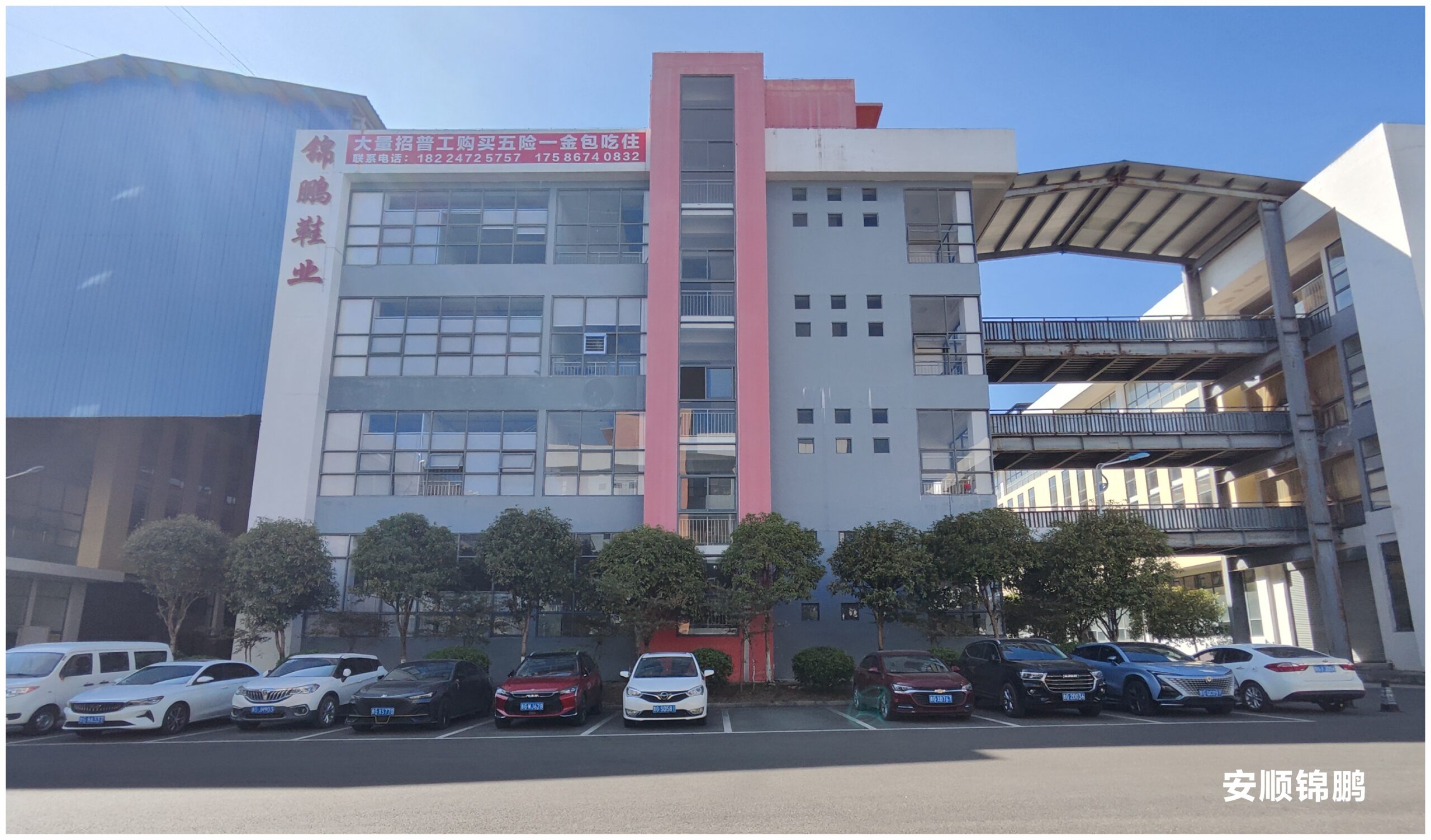 厂区全景实拍